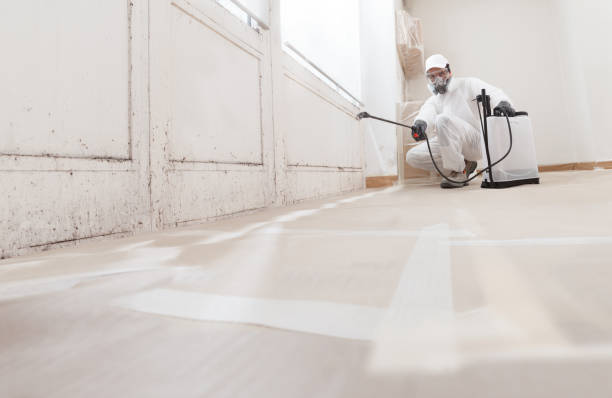 24/7 Emergency Attic Mold Remediation experts in Saddle Brook, NJ